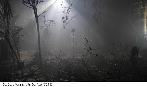 Barbara Visser, Herbarium (2013)