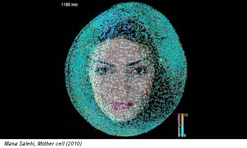 Mana Salehi, Mother cell (2010)