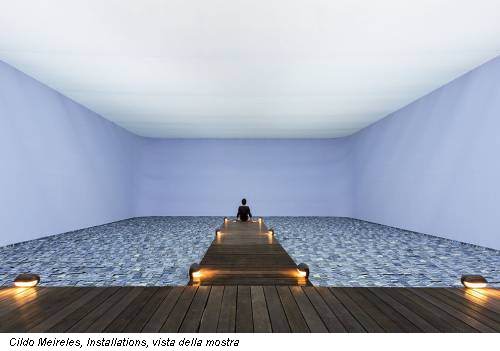 Cildo Meireles, Installations, vista della mostra