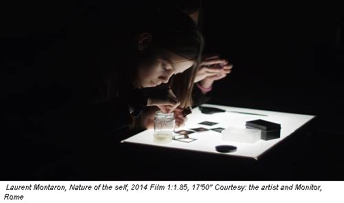 Laurent Montaron, Nature of the self, 2014 Film 1:1.85, 17'50'' Courtesy: the artist and Monitor, Rome