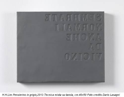 H.H.Lim Pensierino in grigio,2013 Tecnica mista su tavola, cm.40x50 Foto credits Dario Lasagni