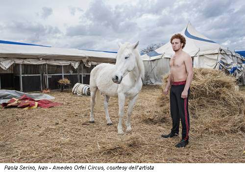 Paola Serino, Ivan - Amedeo Orfei Circus, courtesy dell’artista