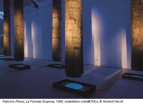 Fabrizio Plessi, La Foresta Sospesa, 1999, installation vidéo, © Norbert Hecht