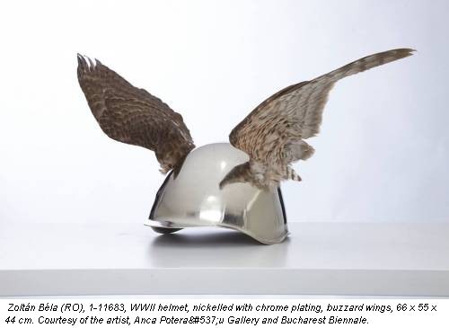 Zoltán B&eacute;la (RO), 1-11683, WWII helmet, nickelled with chrome plating, buzzard wings, 66 x 55 x 44 cm. Courtesy of the artist, Anca Poterașu Gallery and Bucharest Biennale.