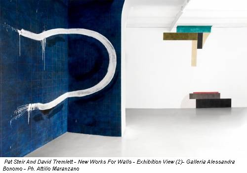 Pat Steir And David Tremlett - New Works For Walls - Exhibition View (2)- Galleria Alessandra Bonomo - Ph. Attilio Maranzano