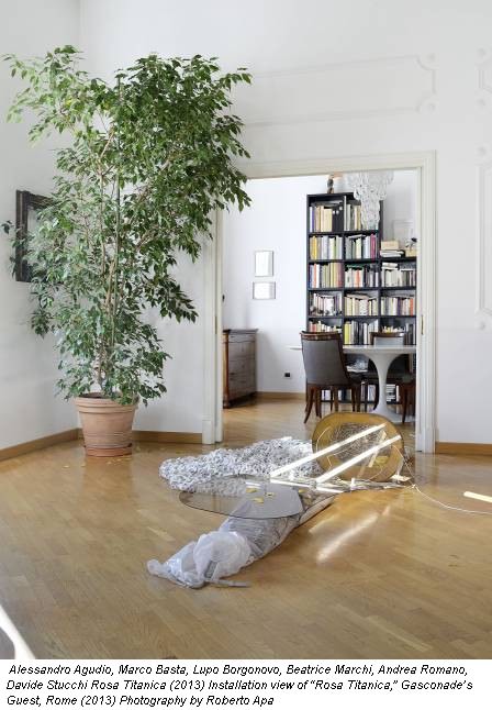 Alessandro Agudio, Marco Basta, Lupo Borgonovo, Beatrice Marchi, Andrea Romano, Davide Stucchi Rosa Titanica (2013) Installation view of 