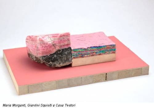 Maria Morganti, Giardini Squisiti a Casa Testori