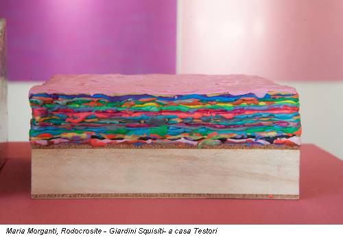 Maria Morganti, Rodocrosite - Giardini Squisiti- a casa Testori