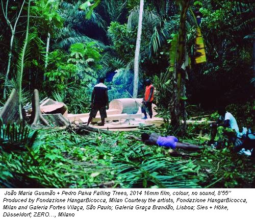 João Maria Gusmão + Pedro Paiva Falling Trees, 2014 16mm film, colour, no sound, 8’55’’ Produced by Fondazione HangarBicocca, Milan Courtesy the artists, Fondazione HangarBicocca, Milan and Galeria Fortes Vilaça, São Paulo; Galeria Graça Brandão, Lisboa; Sies + Höke, Düsseldorf; ZERO…, Milano