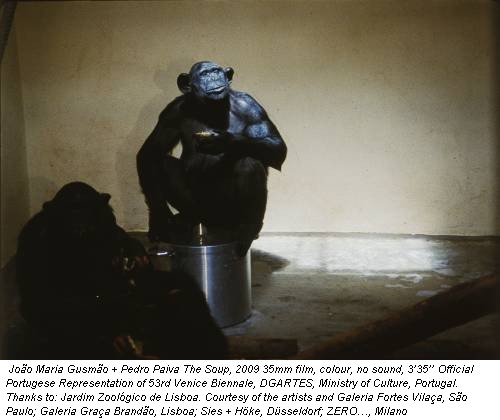 João Maria Gusmão + Pedro Paiva The Soup, 2009 35mm film, colour, no sound, 3’35’’ Official Portugese Representation of 53rd Venice Biennale, DGARTES, Ministry of Culture, Portugal. Thanks to: Jardim Zoológico de Lisboa. Courtesy of the artists and Galeria Fortes Vilaça, São Paulo; Galeria Graça Brandão, Lisboa; Sies + Höke, Düsseldorf; ZERO…, Milano
