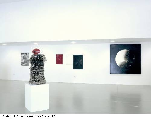CaMusAC, vista della mostra, 2014