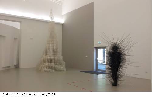 CaMusAC, vista della mostra, 2014