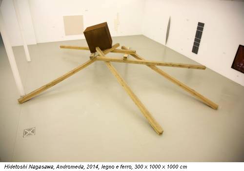 Hidetoshi Nagasawa, Andromeda, 2014, legno e ferro, 300 x 1000 x 1000 cm