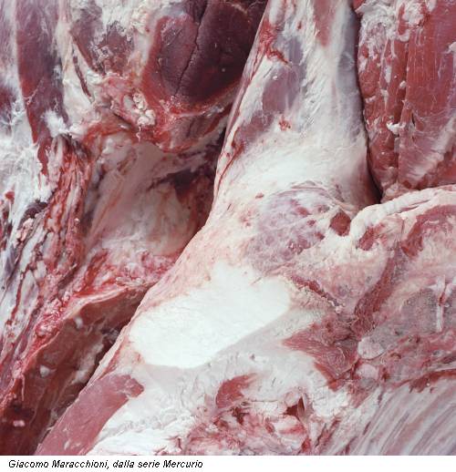 Giacomo Maracchioni, dalla serie Mercurio