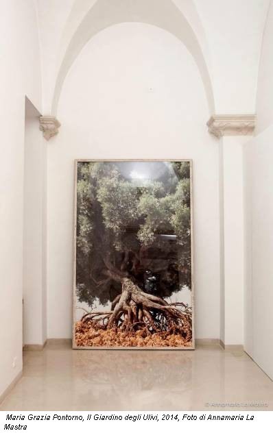Maria Grazia Pontorno, Il Giardino degli Ulivi, 2014, Foto di Annamaria La Mastra