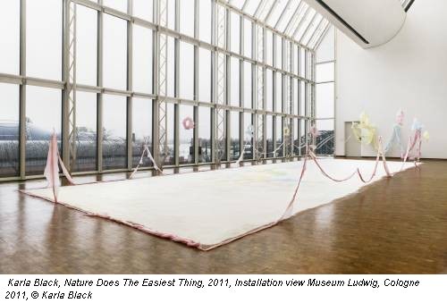 Karla Black, Nature Does The Easiest Thing, 2011, Installation view Museum Ludwig, Cologne 2011, © Karla Black