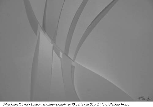 Silva Cavalli Felci Disegni tridimensionali, 2013 carta cm 30 x 21 foto Claudia Pippo