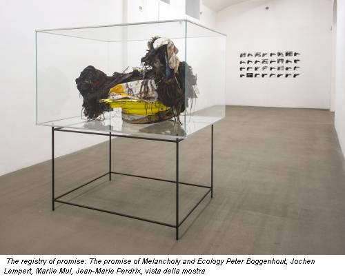 The registry of promise: The promise of Melancholy and Ecology Peter Boggenhout, Jochen Lempert, Marlie Mul, Jean-Marie Perdrix, vista della mostra