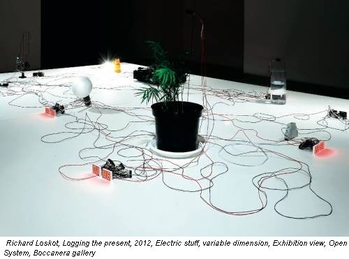 Richard Loskot, Logging the present, 2012, Electric stuff, variable dimension, Exhibition view, Open System, Boccanera gallery