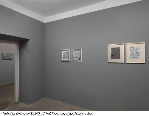 Nebojša Despotović, Silent Fracture, vista della mostra