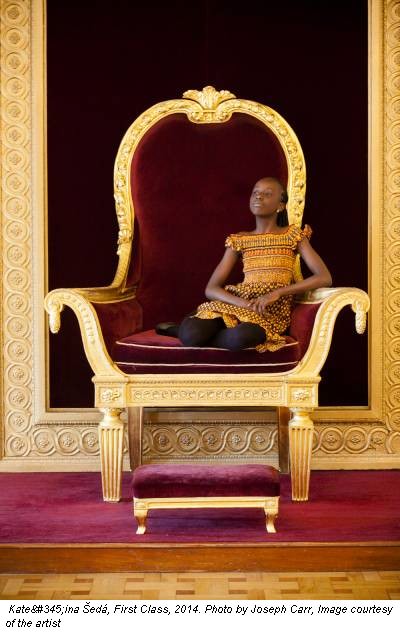 Kateřina Šedá, First Class, 2014. Photo by Joseph Carr, Image courtesy of the artist