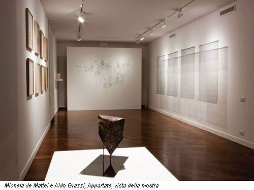 Michela de Mattei e Aldo Grazzi, Appartate, vista della mostra