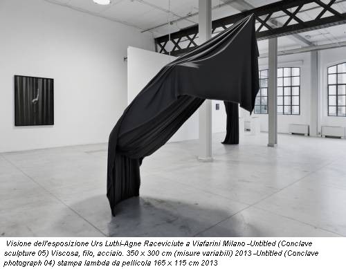Visione dell'esposizione Urs Luthi-Agne Raceviciute a Viafarini Milano -Untitled (Conclave sculpture 05) Viscosa, filo, acciaio. 350 x 300 cm (misure variabili) 2013 -Untitled (Conclave photograph 04) stampa lambda da pellicola 165 x 115 cm 2013