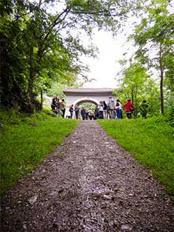 Case Sparse, finissage