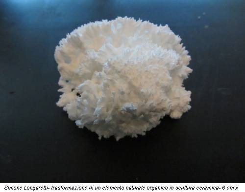 Simone Longaretti- trasformazione di un elemento naturale organico in scultura ceramica- 6 cm x