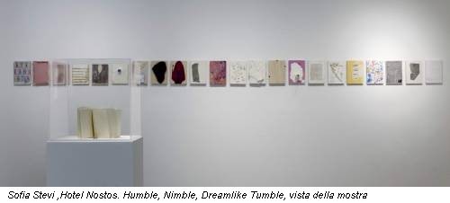 Sofia Stevi ,Hotel Nostos. Humble, Nimble, Dreamlike Tumble, vista della mostra