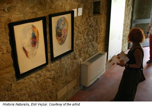 Historia Naturalis, Eldi Vejzai. Courtesy of the artist