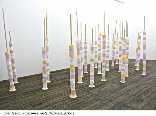 Jota Castro, Amazonas, vista dell'installazione