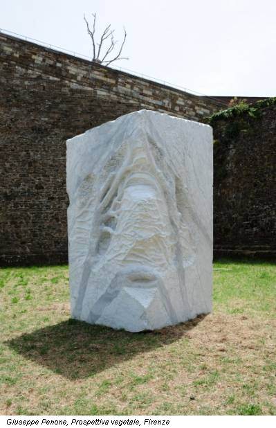 Giuseppe Penone, Prospettiva vegetale, Firenze
