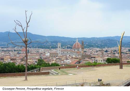 Giuseppe Penone, Prospettiva vegetale, Firenze