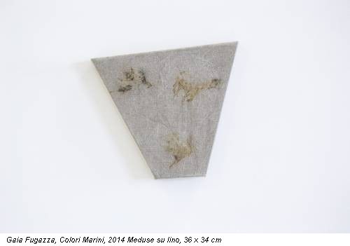 Gaia Fugazza, Colori Marini, 2014 Meduse su lino, 36 x 34 cm