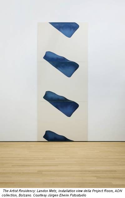 The Artist Residency: Landon Metz, installation view della Project Room, ADN collection, Bolzano. Courtesy Jürgen Eheim Fotostudio