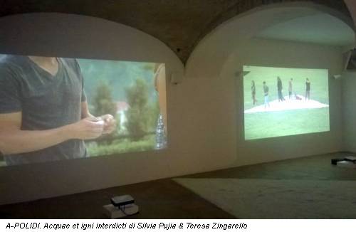  A-POLIDI. Acquae et igni interdicti di Silvia Pujia & Teresa Zingarello