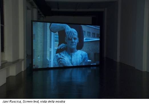 Jani Ruscica, Screen test, vista della mostra
