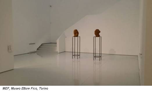 MEF, Museo Ettore Fico, Torino