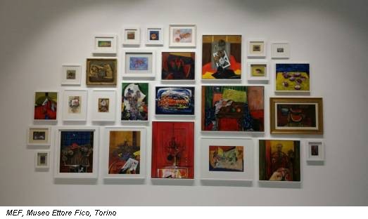 MEF, Museo Ettore Fico, Torino