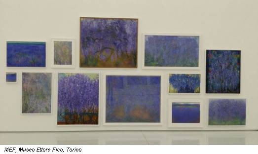 MEF, Museo Ettore Fico, Torino