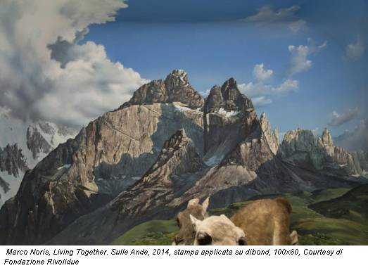 Marco Noris, Living Together. Sulle Ande, 2014, stampa applicata su dibond, 100x60, Courtesy di Fondazione Rivolidue