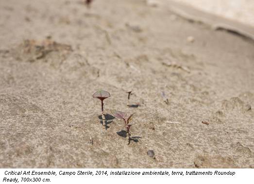 Critical Art Ensemble, Campo Sterile, 2014, installazione ambientale, terra, trattamento Roundup Ready, 700x300 cm.