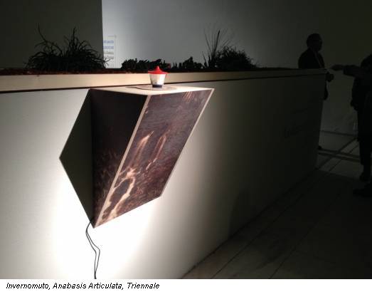Invernomuto, Anabasis Articulata, Triennale