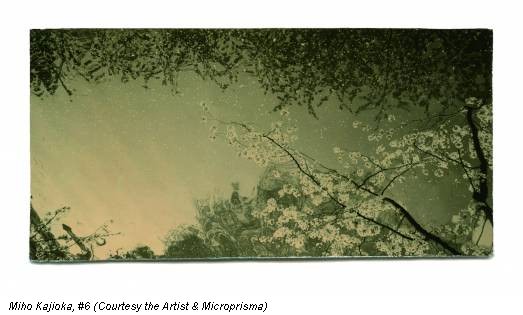 Miho Kajioka, #6 (Courtesy the Artist & Microprisma)
