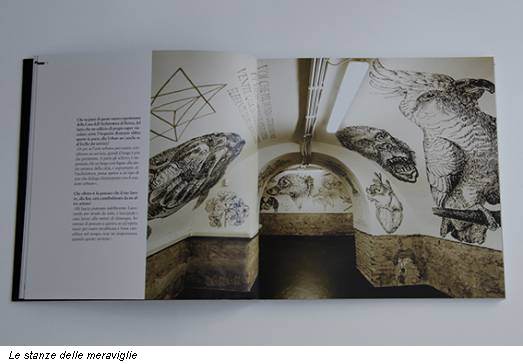 Le stanze delle meraviglie