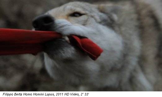Filippo Berta Homo Homini Lupus, 2011 HD Video, 2’ 33’