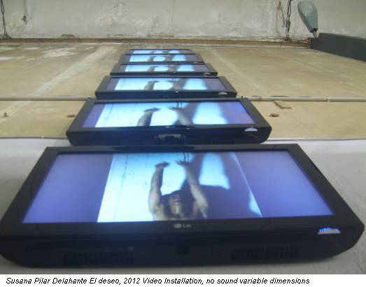 Susana Pilar Delahante El deseo, 2012 Video Installation, no sound variable dimensions
