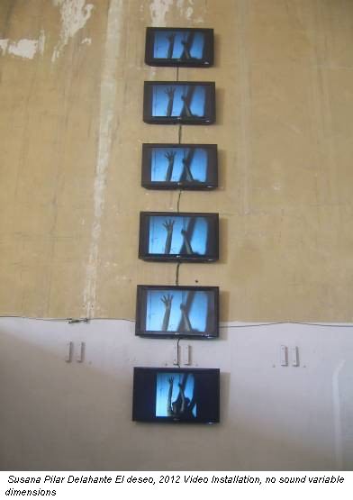 Susana Pilar Delahante El deseo, 2012 Video Installation, no sound variable dimensions