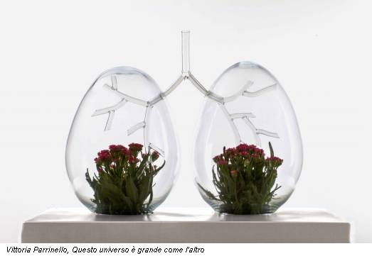 Vittoria Parrinello, Questo universo è grande come l'altro